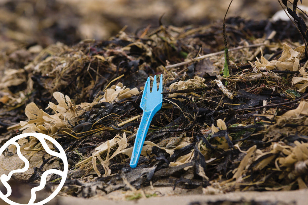 Why Is Plastic So Bad for the Environment?