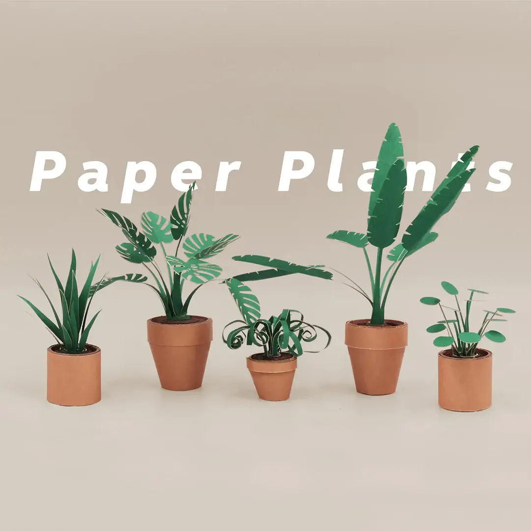 DIY Origami Kit: Pets & Plants