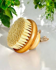 Bamboo Body Dry Brush