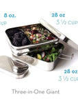 Stainless Steel Lunchbox: Classic or Giant