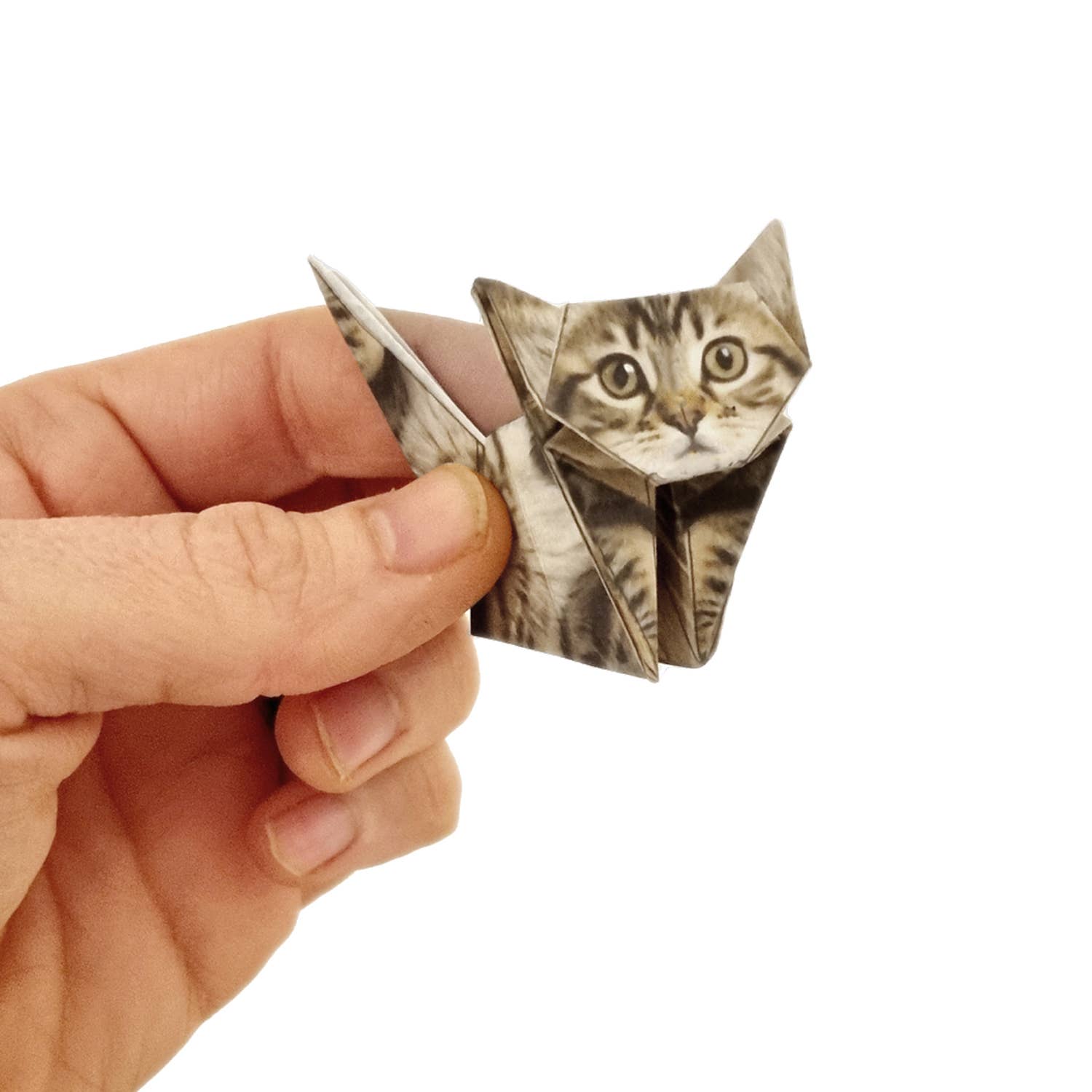 DIY Origami Kit: Pets & Plants