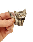 DIY Origami Kit: Pets & Plants