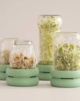 Silicone Sprouting Lid