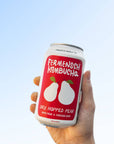 Fermensch Kombucha