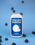 Fermensch Kombucha