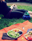 Camping Tray: Stainless Steel