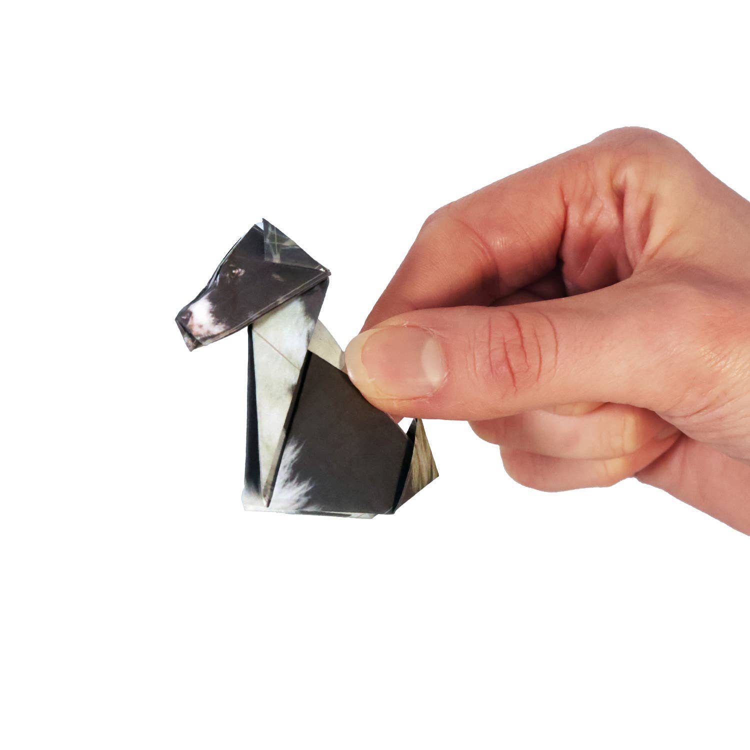 DIY Origami Kit: Pets & Plants