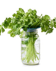 Produce Keepers: 2-Pack