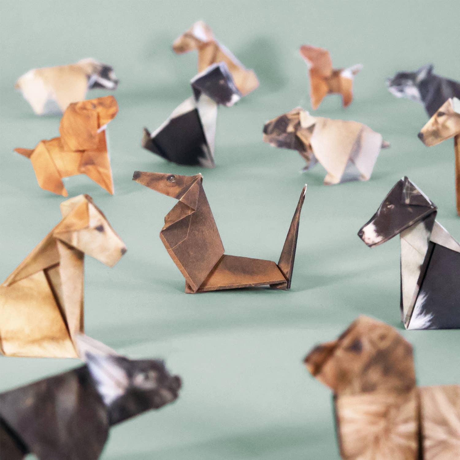 DIY Origami Kit: Pets & Plants