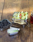 Stainless Steel Lunchbox: Classic or Giant