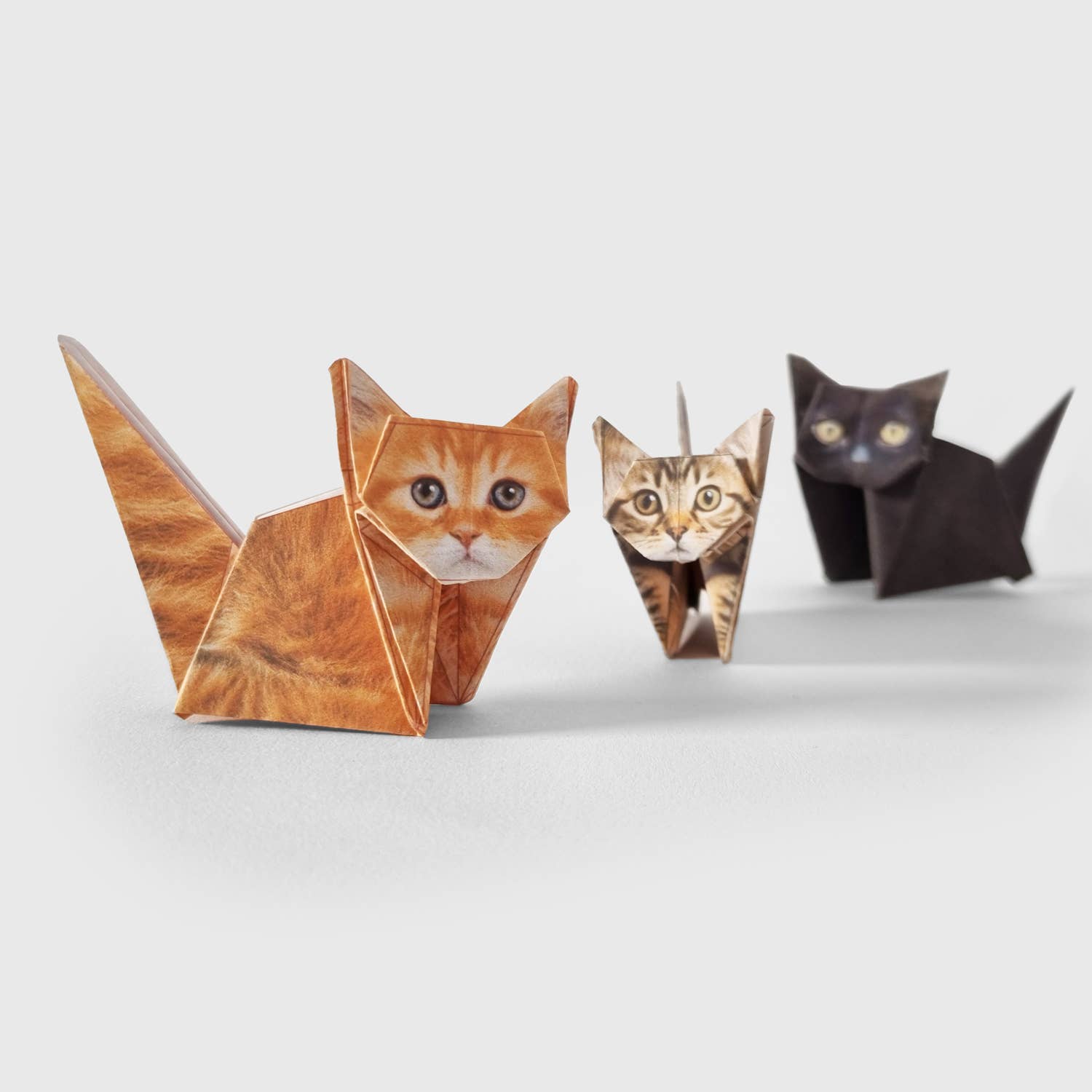 DIY Origami Kit: Pets & Plants
