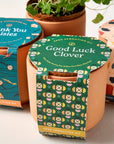 Tiny Terracotta Grow Kits