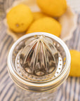Stainless Steel Juicer: Wide Mouth