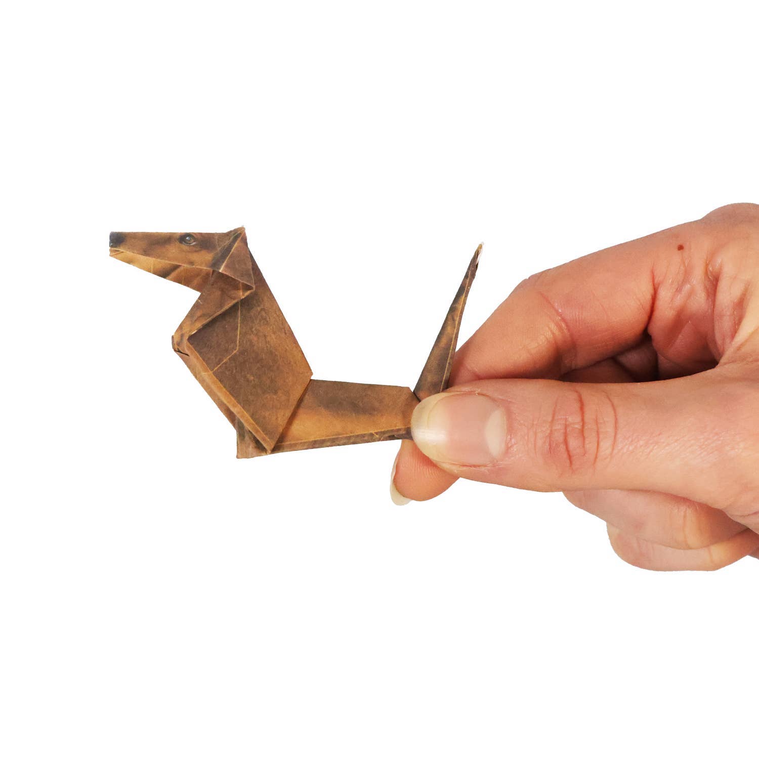 DIY Origami Kit: Pets & Plants