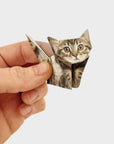 DIY Origami Kit: Pets & Plants