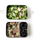 Stainless Steel Lunchbox: Classic or Giant
