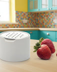 Fruit Fly Trap: Refillable