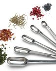 Spice Measuring Spoon Set Of 6
