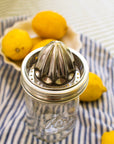 Stainless Steel Juicer: Wide Mouth