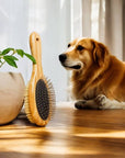 Dog & Pet Grooming Brush