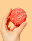 Shampoo & Conditioner Bars: Organic