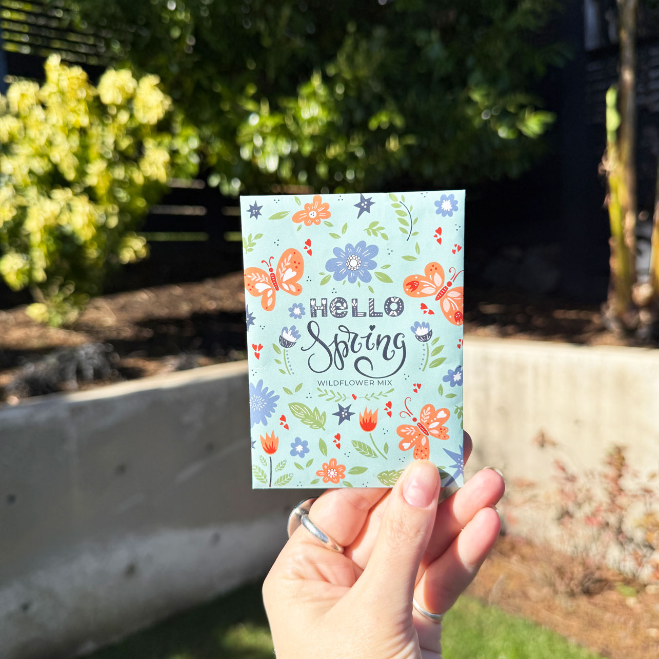 Wildflower Seed Packet: Hello Spring – Marley's Monsters