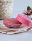 Shampoo & Conditioner Bars: Organic