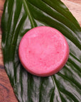 Shampoo & Conditioner Bars: Organic