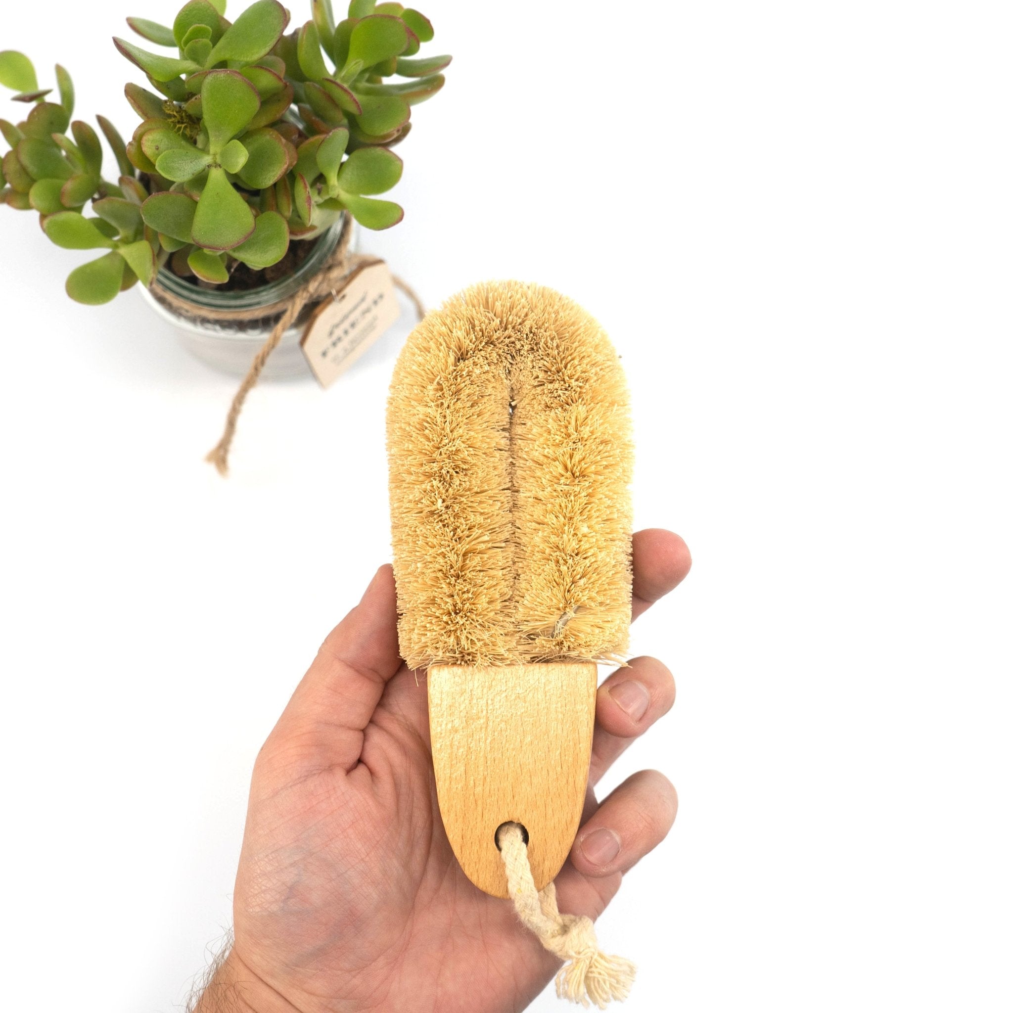 http://www.marleysmonsters.com/cdn/shop/products/cleaning-brushes-coir-290397.jpg?v=1697850697