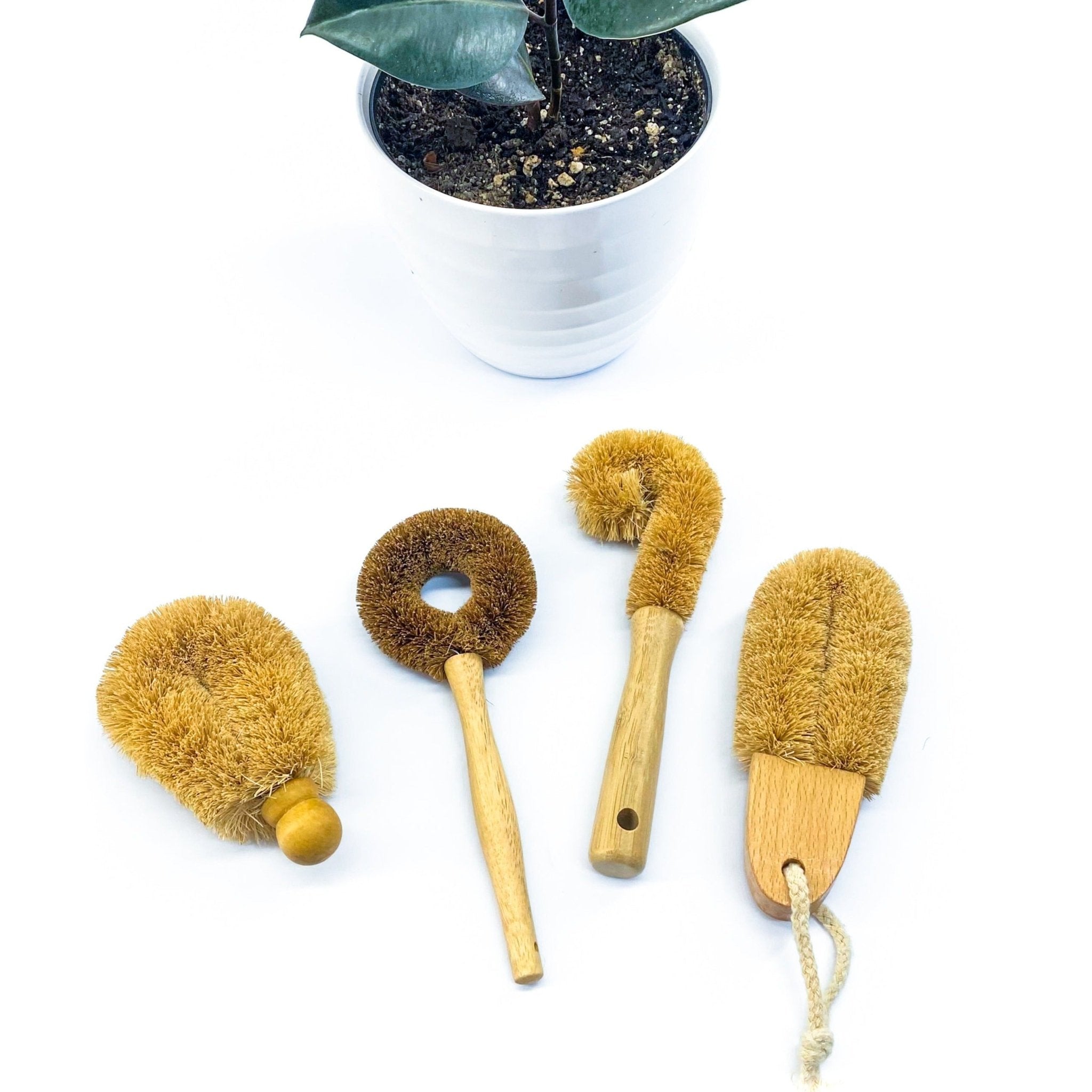 http://www.marleysmonsters.com/cdn/shop/products/cleaning-brushes-coir-507104.jpg?v=1697850697