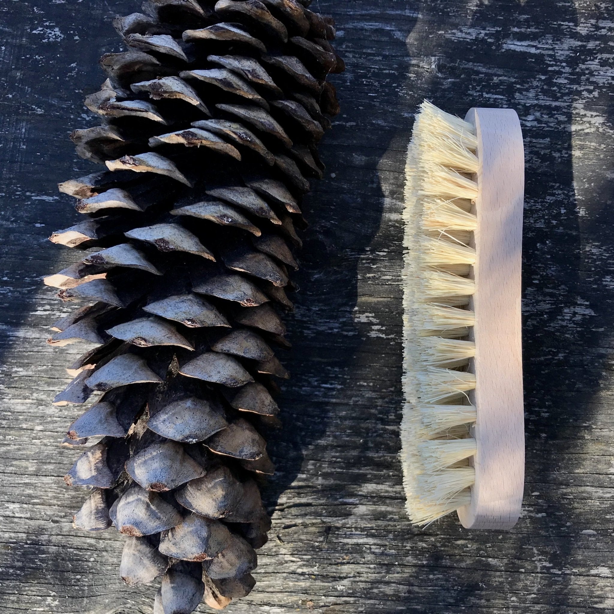 Cleaning Brushes: Tampico - Marley's Monsters