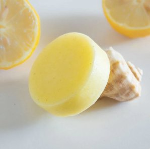 Organic Shampoo and Conditioner Bars - Marley's Monsters