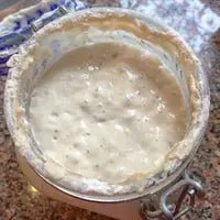 Organic Sourdough Starter - Marley's Monsters