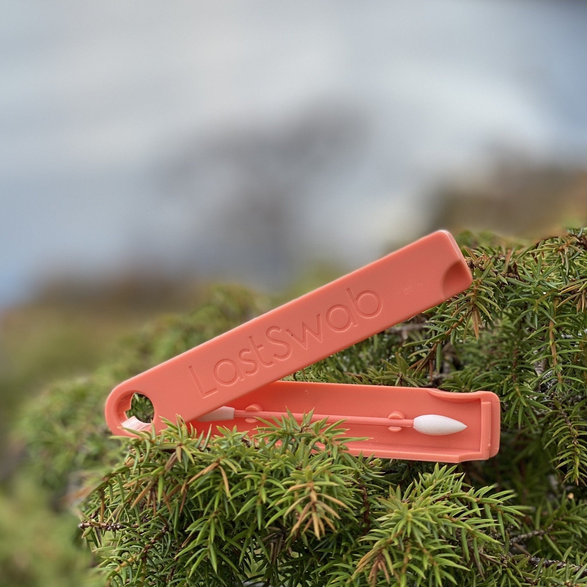 Reusable Swab: Beauty - Marley's Monsters