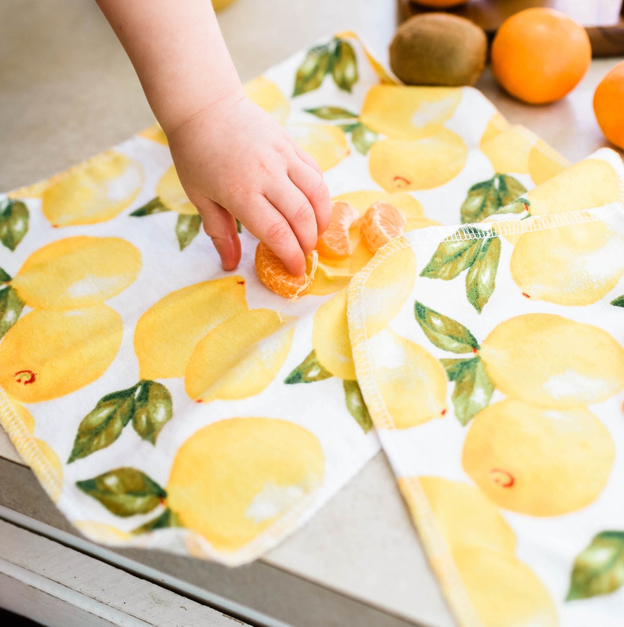 UNpaper® Towels + Holder: Vintage Fruits - Marley's Monsters