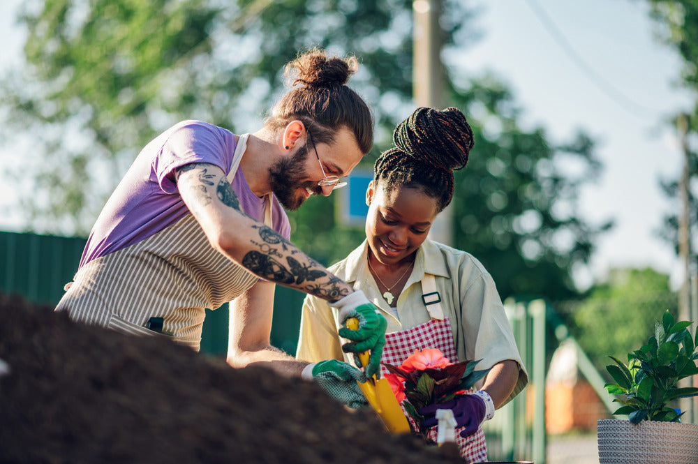Dig It: Sustainable Gardening Tips for a Greener Thumb
