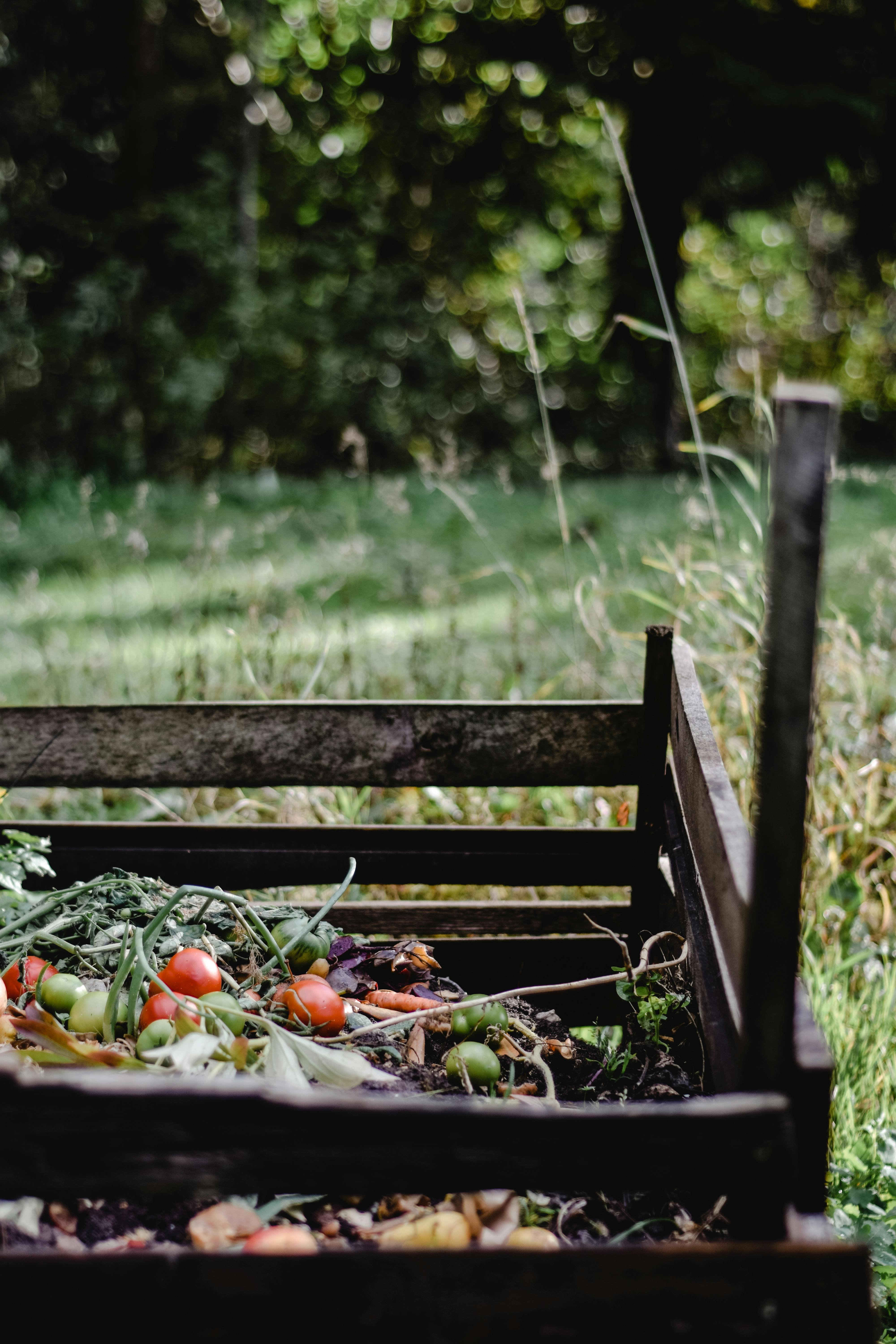 From Scraps to Soil: A Beginner’s Guide to Composting (Without the Ick)