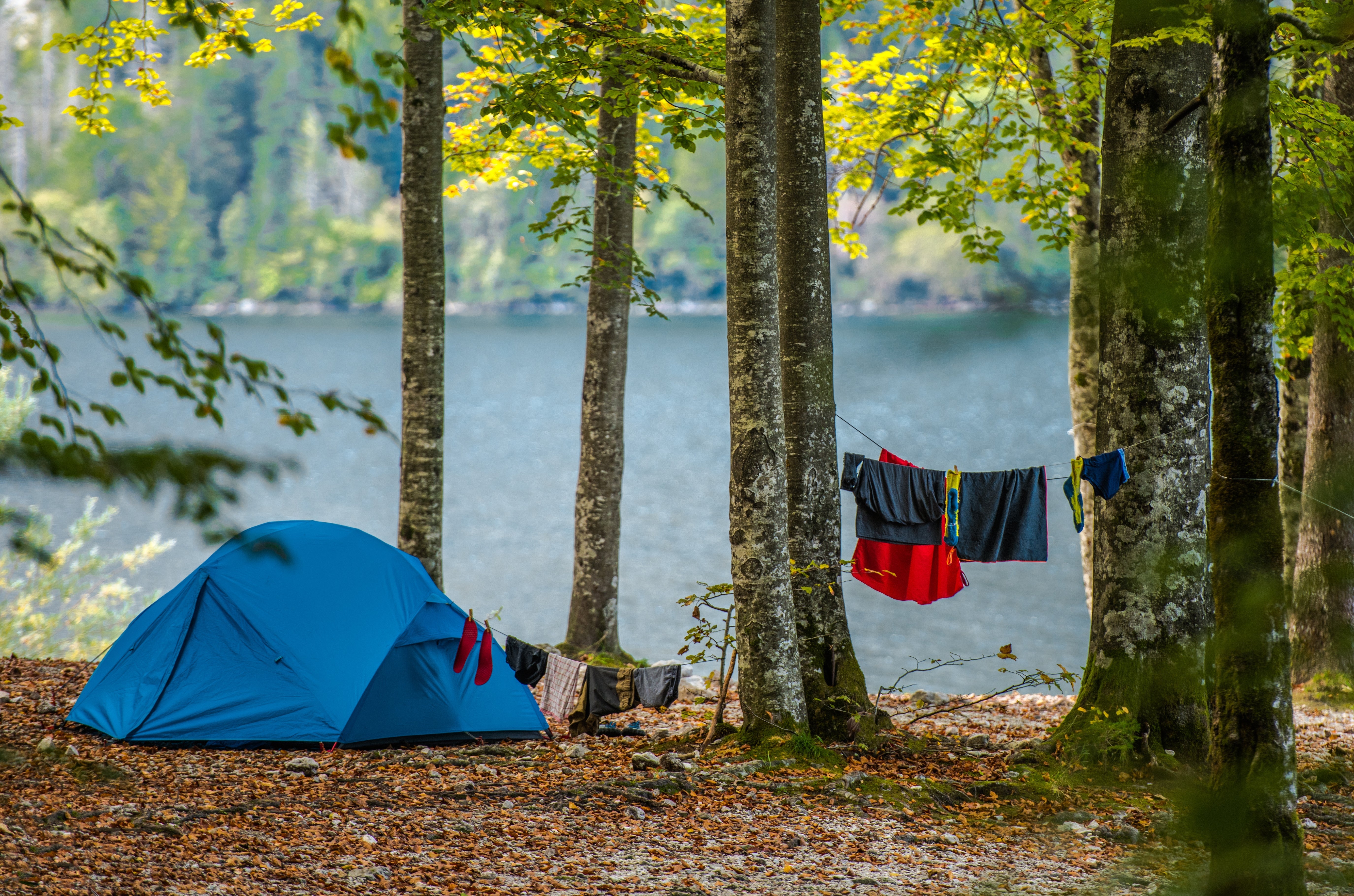 Labor Day the Low-Waste Way: Eco-Friendly Camping & BBQ Tips
