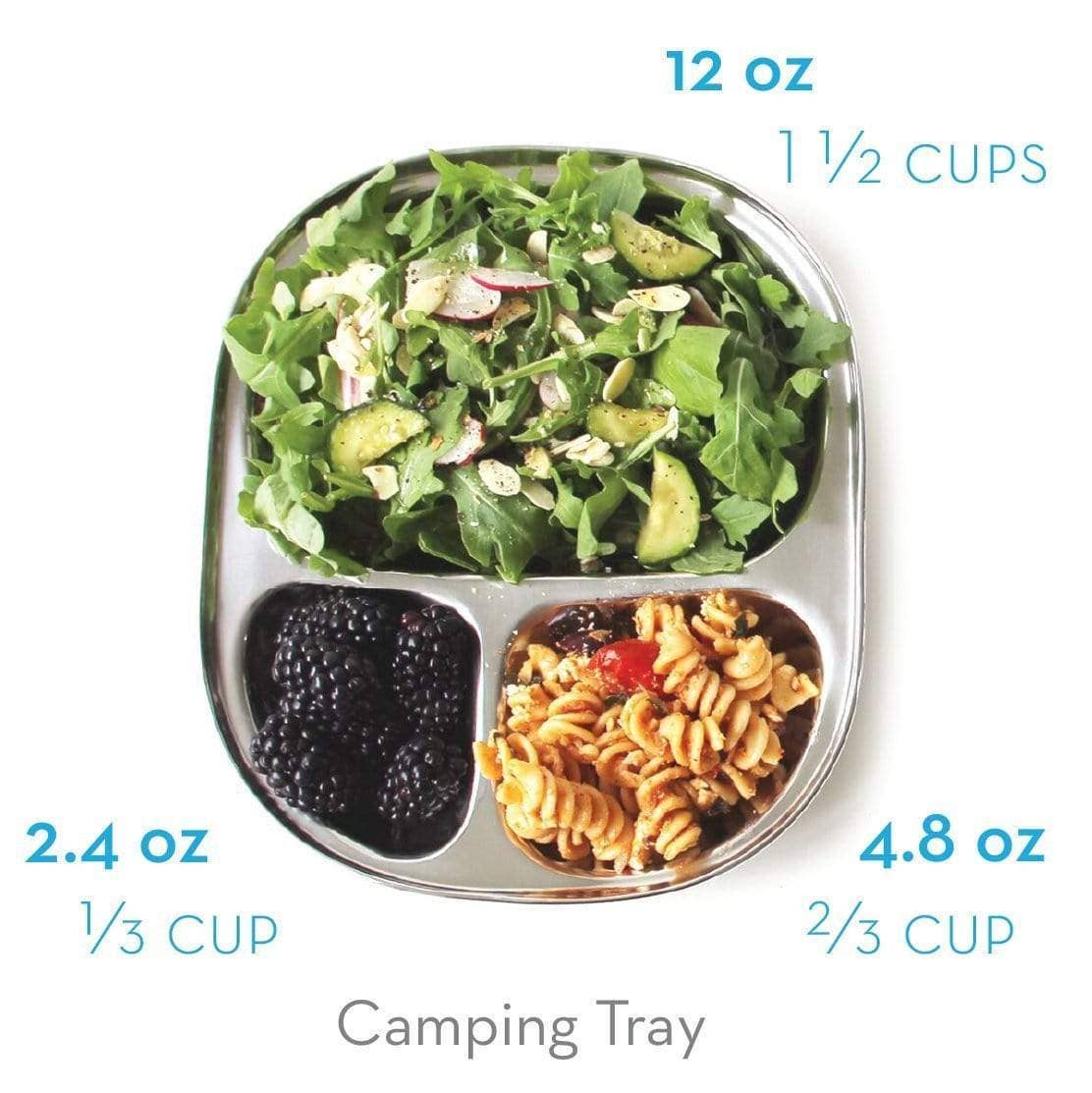 Camping Tray: Stainless Steel