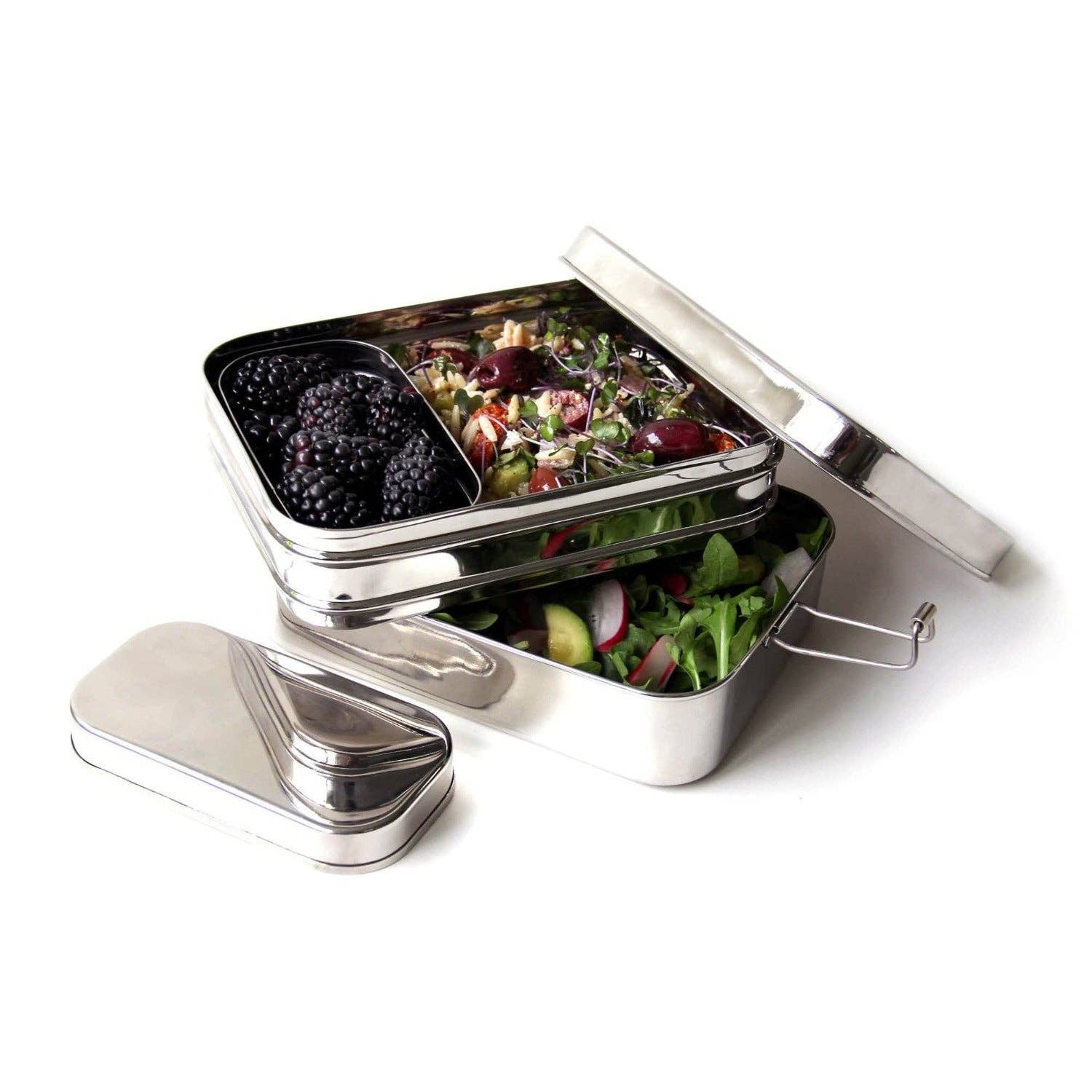 Stainless Steel Lunchbox: Classic or Giant