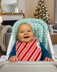 Baby Bib: Holiday Prints