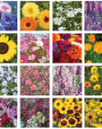 Wildflower Seed Packet: Hello Spring