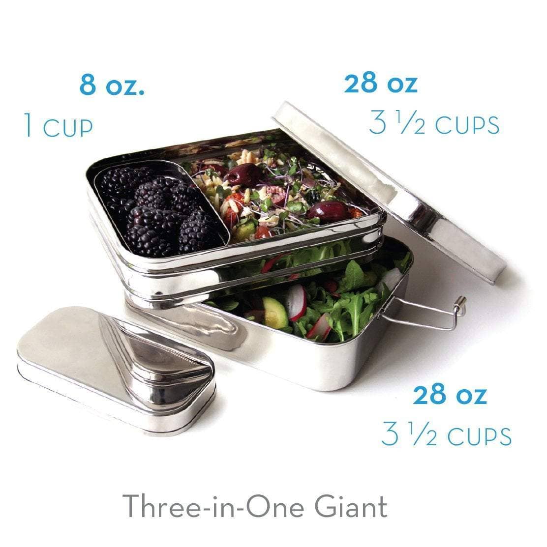 Stainless Steel Lunchbox: Classic or Giant