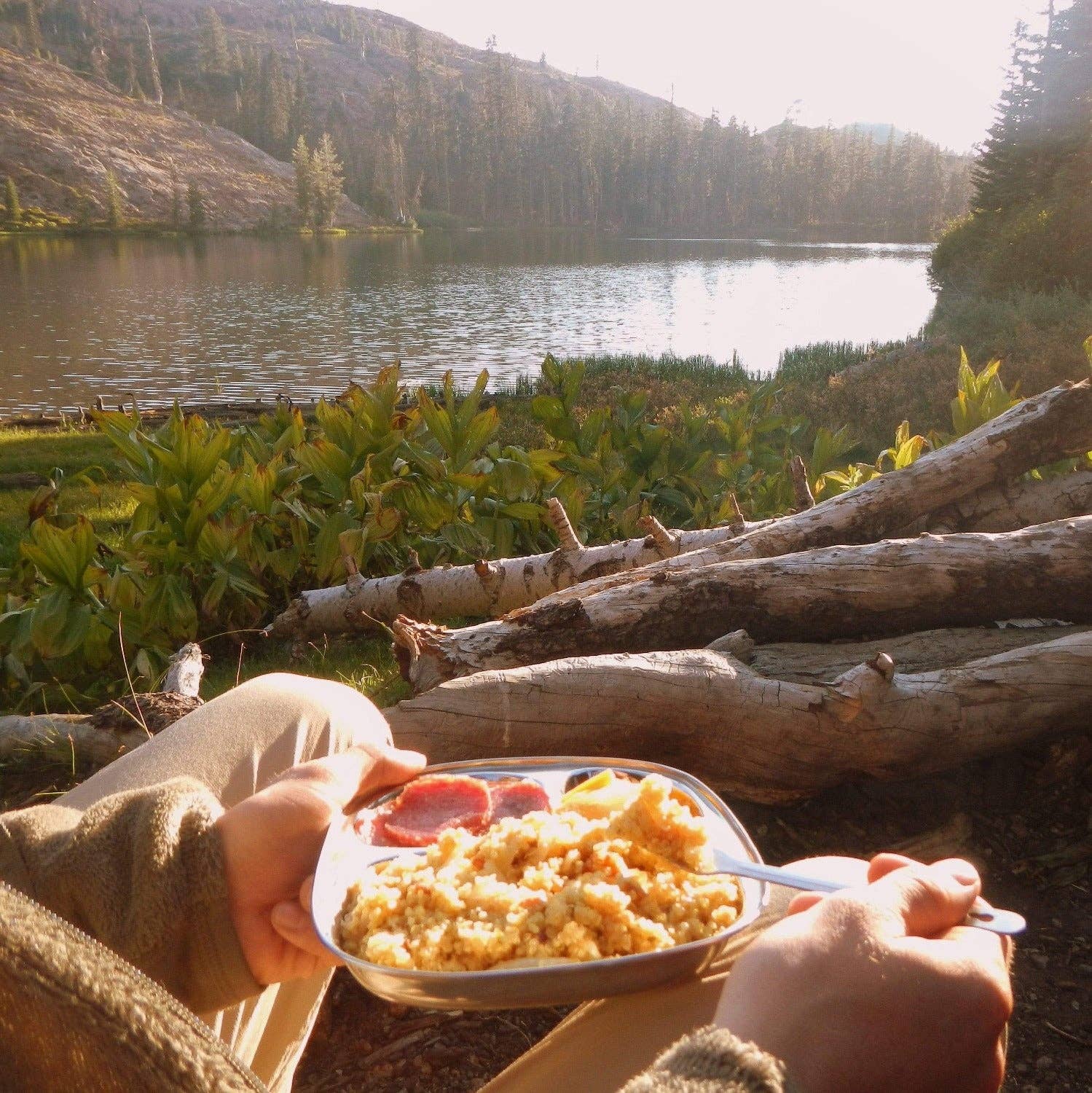 Camping Tray: Stainless Steel