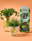 Produce Keepers: 2-Pack