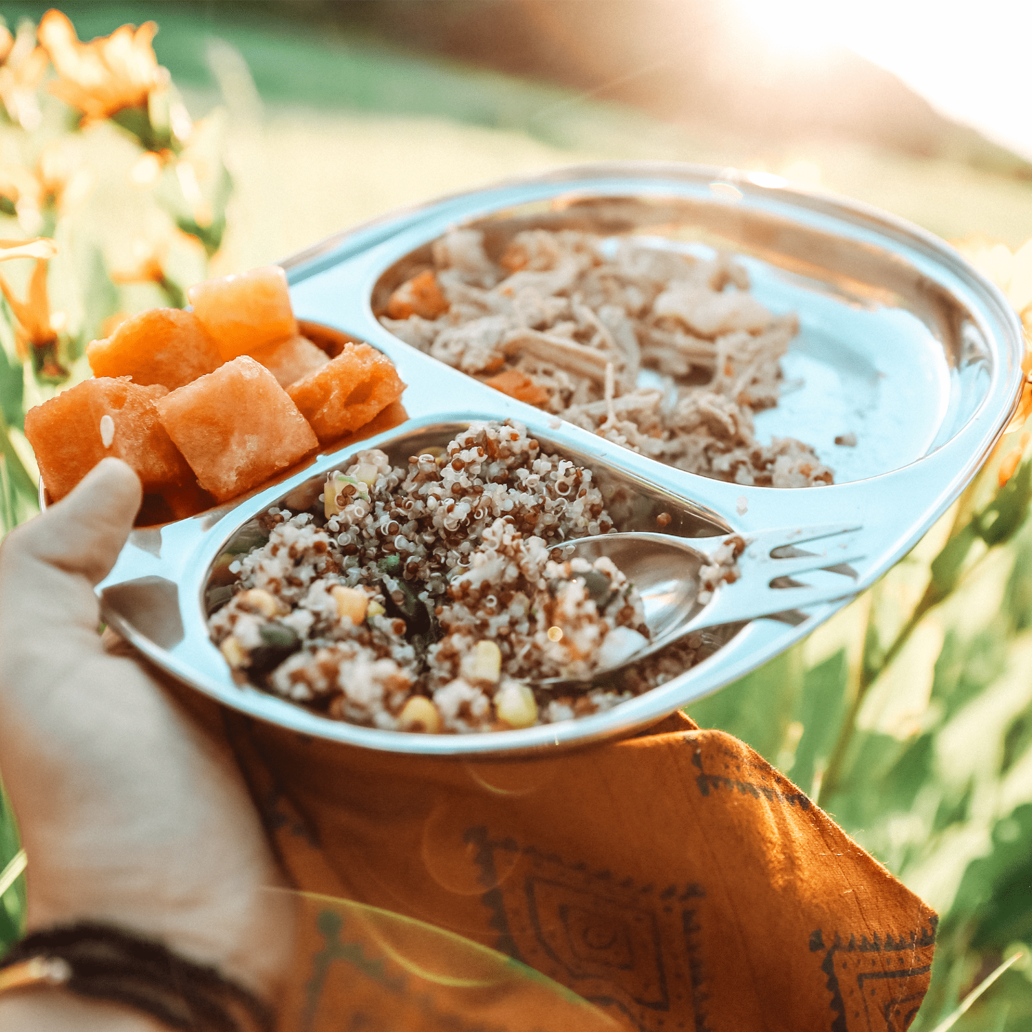 Metallic divided plate with food held by a person in a natural setting