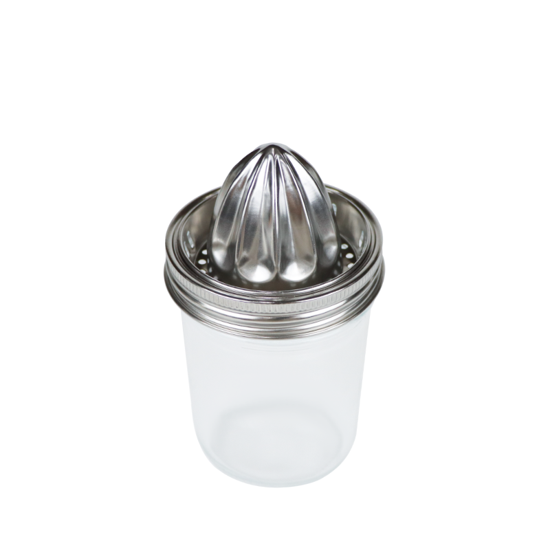 Stainless Steel Juicer: Wide Mouth