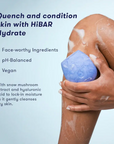 Body Wash Bar: HiBAR