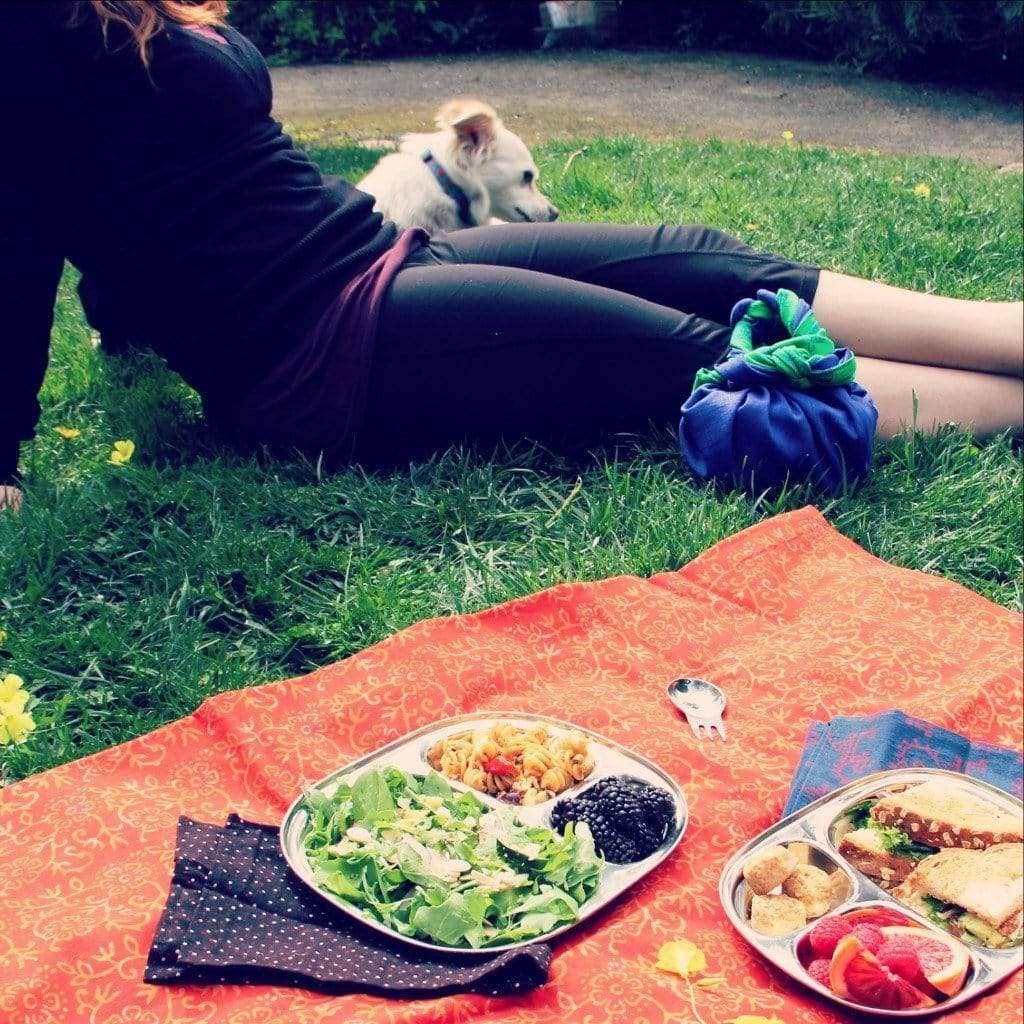 Camping Tray: Stainless Steel