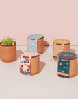 Tiny Terracotta Grow Kits